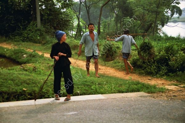 Chinese Farmers, Guilin Countryside